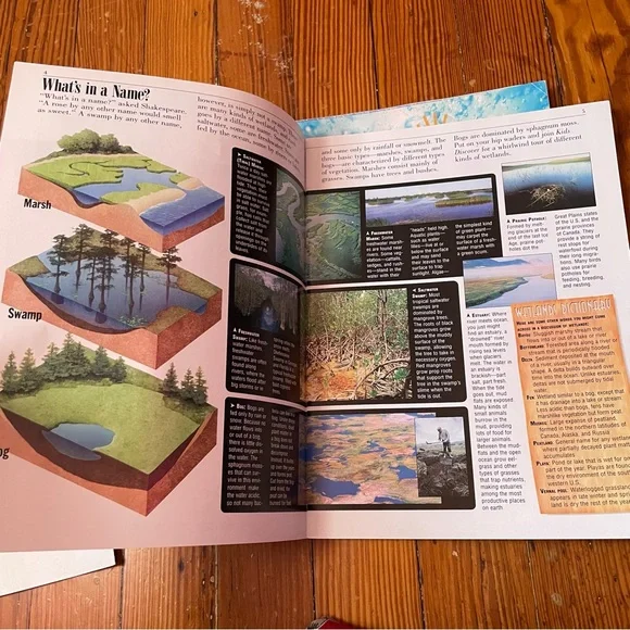 Kids Discover Bundle - Water Themed - Picture 8 of 14